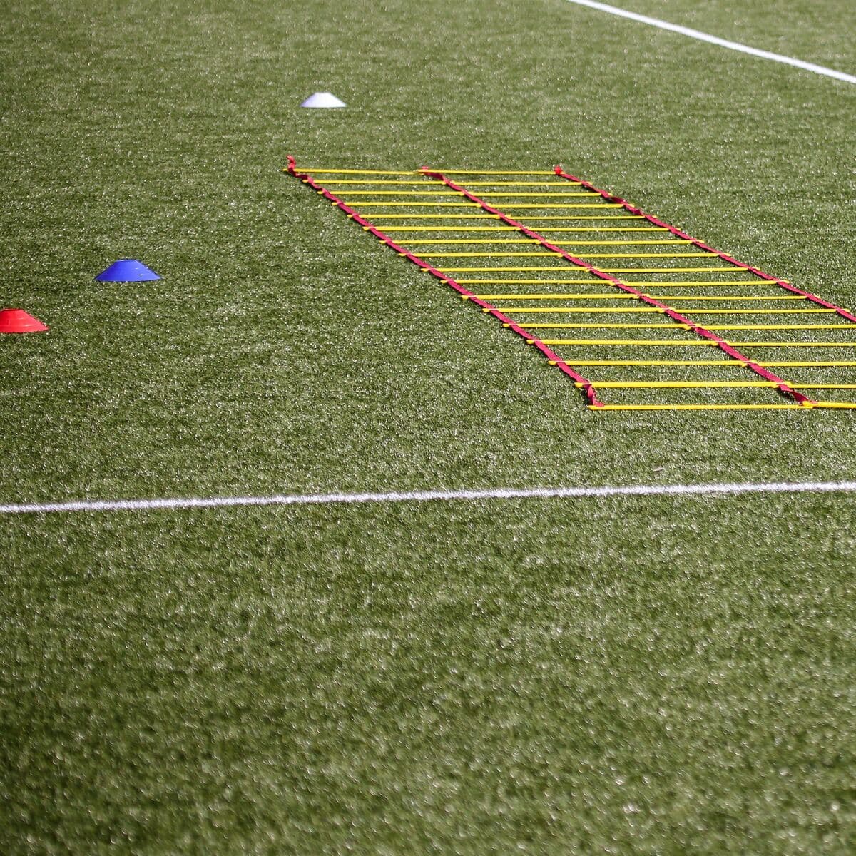 Agility Ladder Set