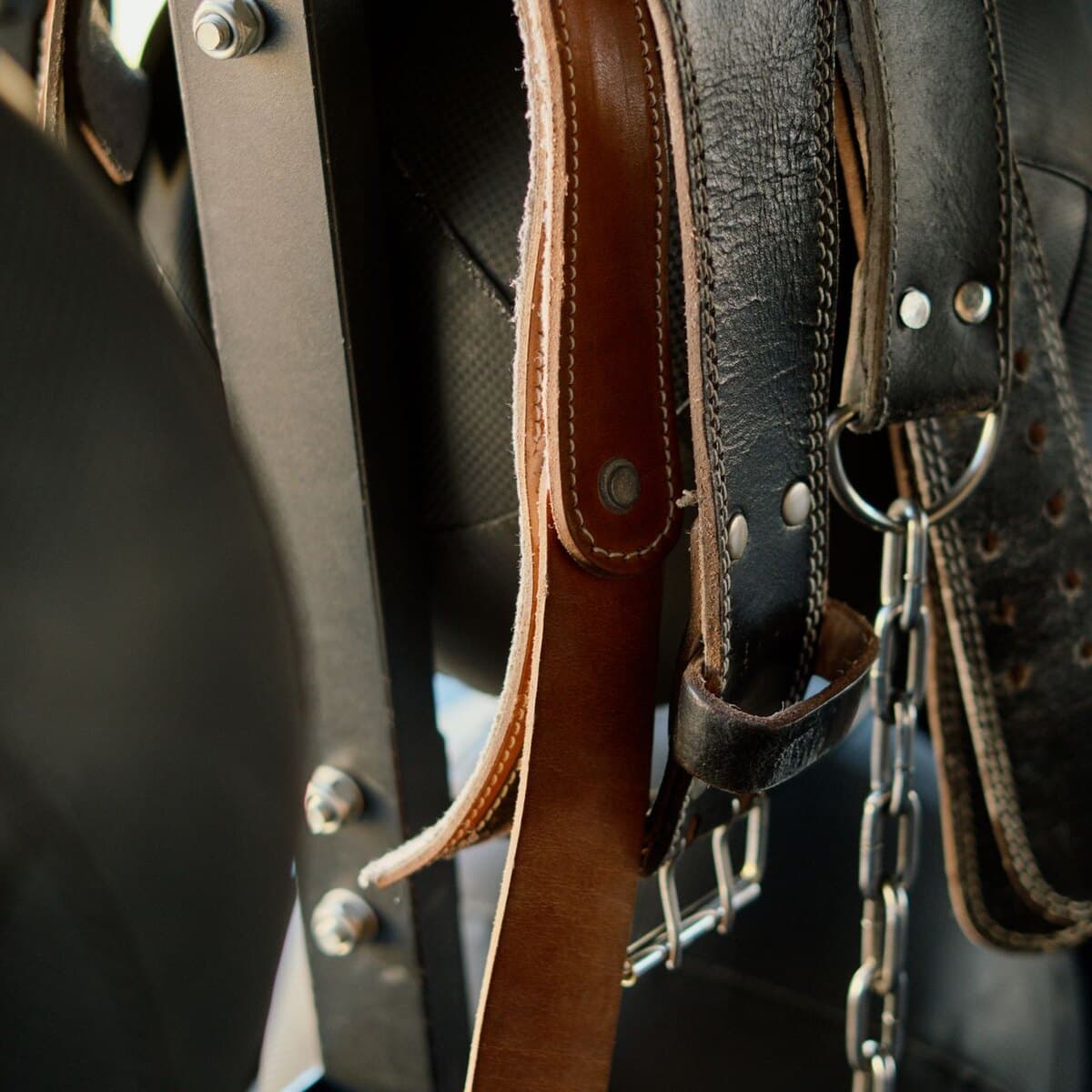 Leather Lifting Belt